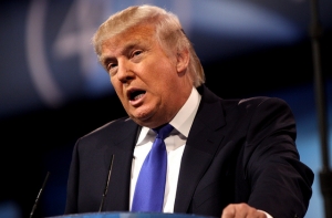 WP: Трамп 86 раз соврал о «воображаемой» стене на границе с Мексикой