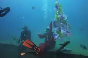 На Кипре новогоднюю елку установили на дне моря