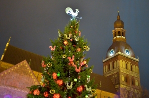 На Домской площади зажгут главную рождественскую елку