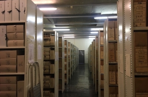 TV3: картотеку КГБ планируется обнародовать до Рождества