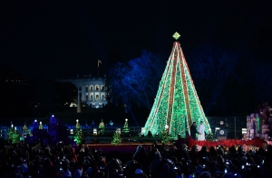 В США мужчина залез на новогоднюю елку у Белого дома