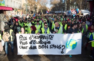 Почти два млн французов готовы судиться с властями из-за экологии