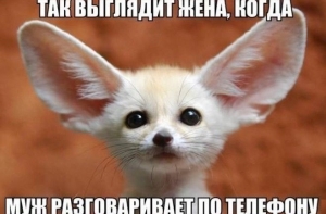 Вечерняя подборка смешных анекдотов 11 декабря