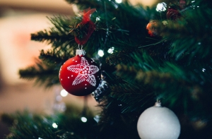 Латвийца приговорили к шести месяцам тюрьмы за поджог рождественской елки