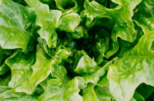 Листовые овощи - ключ к сохранению здоровья печени