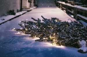 Синоптики обещают под Рождество снег и мороз до -15