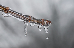 Синоптики рассказали, какая погода ожидается в конце 2018 года