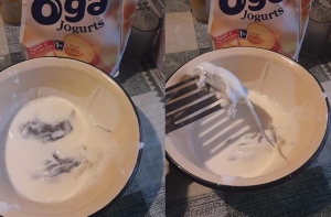 Жительница Ливаны купила йогурт с крысятами