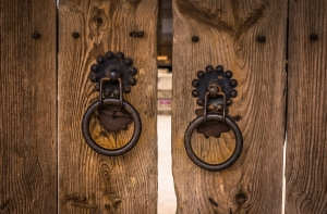 Пропавшая 14 лет назад кошка вернулась домой