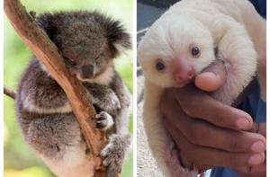 Порция позитива: 15 прелестных малышей, которые поднимут настроение на целый день