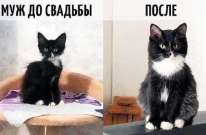 Свежая подборка демотиваторов (19 шт)