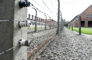 В Белоруссии ввели уголовную ответственность за реабилитацию нацизма