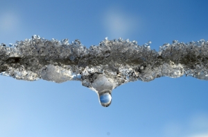 В Латвии ожидается «африканская оттепель»