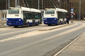 В Агенскалнсе на дорогу упало дерево: троллейбусы опаздывают
