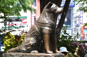 Медик пожаловался на работу профсоюзов: как Хатико сидим у Сейма и ждем денег!