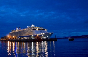 Сотни пассажиров круизного лайнера заболели кишечной инфекцией в Карибском море