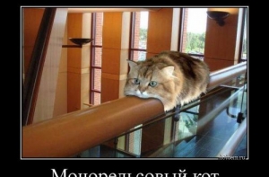 Пятничная подборка демотиваторов (15 фото)