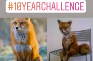 Очередной глоток юмора в свежей подборке фото-приколов и картинок.