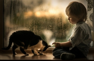 Очаровательные фотографии дружбы мальчика с кошками!