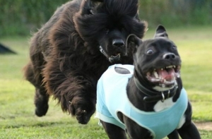 12  фото на которые поймали самые яркие эмоции