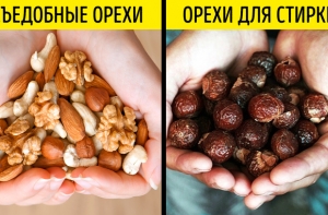 10 дурацких идей, на которых люди сколотили свой миллион