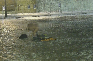 Показали все! В Старой Риге иностранцы устроили фотосессию