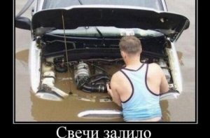 Новые демотиваторы субботня подборка