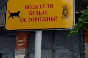 Утренняя подборка смешных картинок