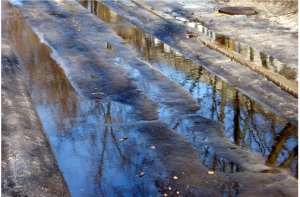 Берегитесь! В Латвию идет оттепель из Африки