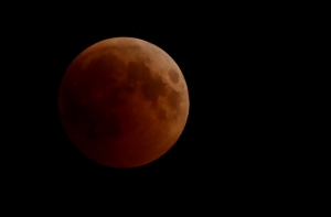 В ночь на понедельник в небе появится кровавая волчья луна