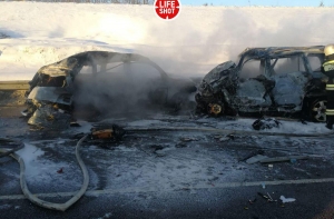 В лобовом ДТП под Воронежом погибли восемь человек