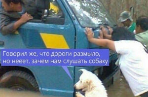 Вечерняя подборка приколов (19 штук)