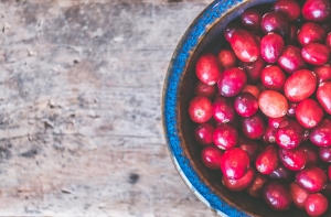 Клюква и голубика  снижают риск кариеса