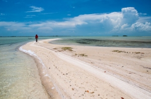 «Переработался, надо поехать прогреться»: латвийцы осудили Вейониса за отпуск