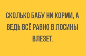 Новые смешные анекдоты первого января (12 штук)