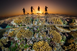 Дух захватывает: подводные фотографии с конкурса Ocean Art 2018
