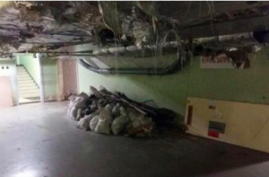 Что мы еще не знали: cталактиты и коты в коридорах больницы Страдиня