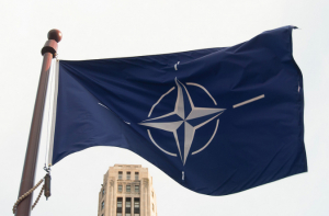 Политолог призвал НАТО объединиться для противостояния «российской угрозе»