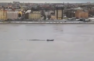 Рижский ледокол? По Даугаве, ломая лед, проплыла лодка