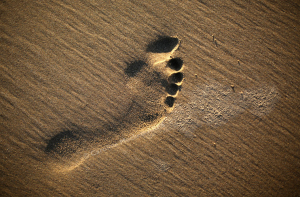 Выявлен ранее неизвестный предок человека