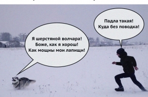 Cмешные анекдоты на эти выходные