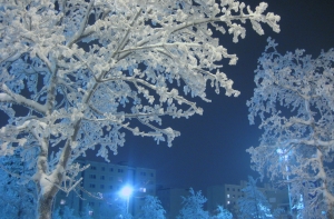 Синоптики обещают морозную ночь