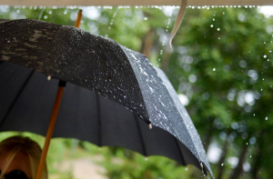 Синоптики обещают теплое, но дождливое воскресенье