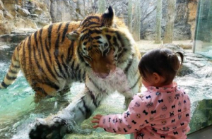 Эмоции и настроение в прикольных фотографиях (17 фото)