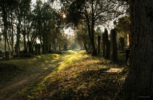 Во Франции на еврейском кладбище осквернили десятки могил