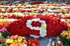 Стартует ежегодная кампания по сбору пожертвований для ветеранов