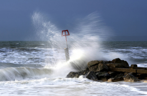 И снова утепляемся: в среду похолодает и усилится ветер