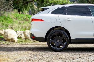 Бедные фермеры? Латвийские крестьяне покупают «люксовые» Porsche и Jaguar