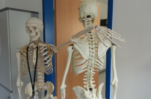 Шокирующий случай в Тюрингии: студент-физик съел своего сокурсника