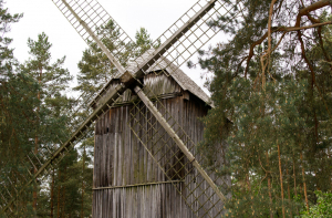 Нужна береста! Этнографический музей обратился к владельцам леса